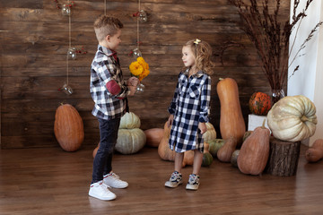 Fototapeta premium love concept. Boy present girl bouquet of yellow flowers at home in autumn