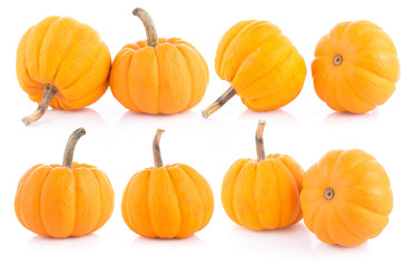 Pumpkin on white background