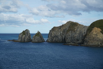 Fototapeta na wymiar scenic cliffs in the cook strait