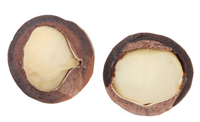 Macadamia nuts isolated on white background, top view