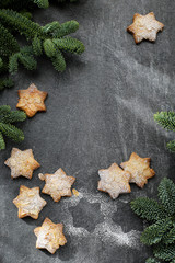 Almond cookies with icing sugar, with Christmas tree branches on a dark relief background.