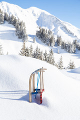 Sled in a lot of snow on the mountains with pine trees in Kleinwalsertal in Austria