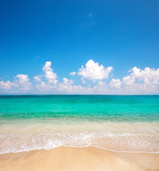 beautiful beach and tropical sea