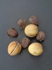 castor fruit (Ricinus communis) on the black background
