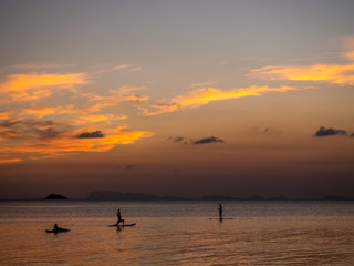 Silhouettes of people on sup boards in the rays of the setting sun against a background of clouds. Koh Phangan. Thailand.