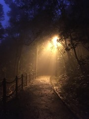 Fototapeta na wymiar Path to Victoria peak in Hong Kong in a fog at night lanterns light
