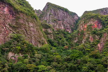 Mountain  and forest at Amboro park in Bolivia.