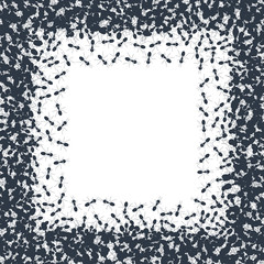 Square silhouette of chaotic running ants on white background. Crawling insects colony border backdrop poster. Teamwork and cooperation concept.  Vector cartoon illustration. 
