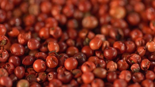Food spices pink peppercorns red pepper Himalayan pepper berries. concept of fresh and dietary spices for cooking schools vegans and dietary products. Fall. Slow motion.