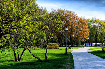Nice park in the city with trees and small road