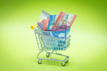 Mini shopping trolley with Chilean money. The concept of shopping and the power of the economy