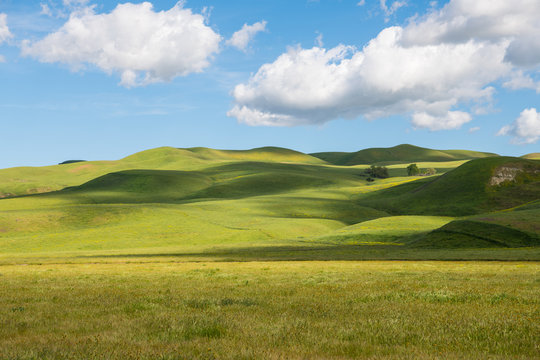 Idyllic scene of green grassy hills dotted with light and shadow from fluffy white clouds in a beautiful blue sky