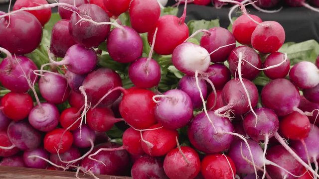Bright red fresh  radishes on a wooden table at a farmers' market in slow motion