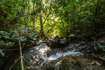 Kathu Waterfall in the tropical forest area In Asia, suitable for walks, nature walks and hiking, adventure photography Of the national park Phuket Thailand,Suitable for travel and leisure.