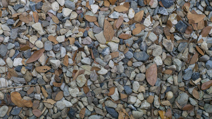 Pebbles and dry leaves that fall together