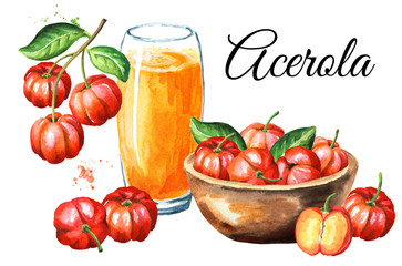 Acerola or Barbados cherry card. Watercolor hand drawn illustration isolated on white background