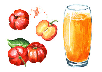 Glass of Accerola juice with Fresh ripe Acerola fruits, Barbados cherry set. Watercolor hand drawn illustration isolated on white background