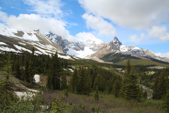 「Hilda」の画像 242 件の Stock 写真、ベクターおよびビデオ Adobe Stock