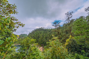Beautiful landscape and in the background wooded mountains and a cloudy sky