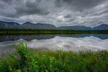 Fototapeta premium Alaska pine tree forest reflection on a lake