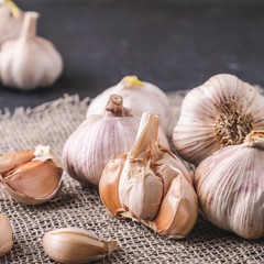 Garlic cloves and bulb on burlap background.