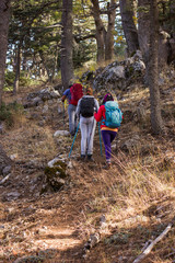 Mountain climbing. Three people go uphill with trekking poles and backpacks.