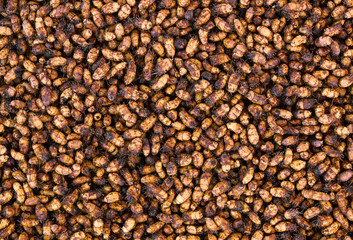 Chufa nut sedge textured background, healthy and fresh harvest of earthnut from above flat lay top view, closeup, vegetarian and organic food concept