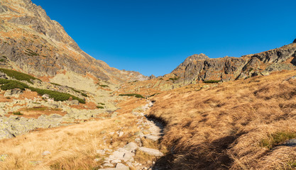 Mlynicka dolina valley in autumn Vysoke Tatry mountains in Slovakia © honza28683