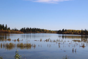Looking Over The Waters Of Astotin Lake, Elk Island National Park, Alberta