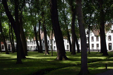 Visit witches. city ​​of the flamenco part of belgium