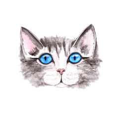 Watercolor Hand Drawn Cats and Flowers