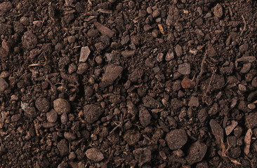 Soil background and texture, top view