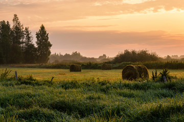Dolina Górnej Narwi, Poranne mgły nad rzeką, Narew, Podlasie, Polska © podlaski49