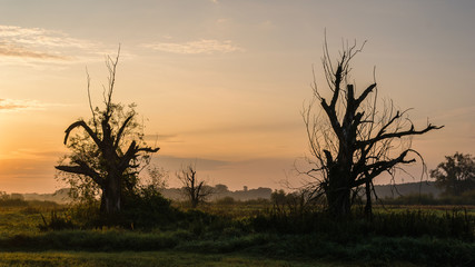 Dolina Górnej Narwi, Poranne mgły nad rzeką, Narew, Podlasie, Polska