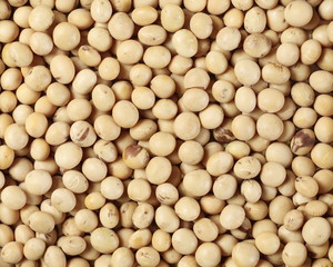 Organic raw soybeans background and texture