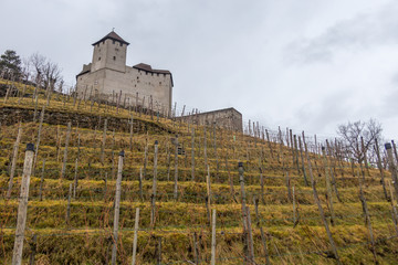 Fototapeta na wymiar Medieval Gutenberg Castle, Liechtenstein