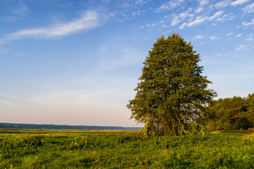 Dolina Górnej Narwi, Poranne mgły nad rzeką, Narew, Podlasie, Polska © podlaski49