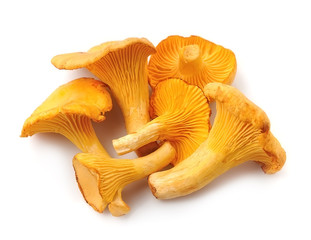 Chanterelle mushrooms.