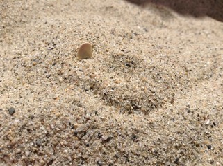 Sand/Beach
