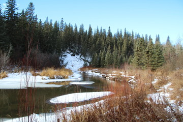Obraz premium Winter Flowing Along The Creek, Whitemud Park, Edmonton, Alberta