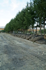 Typhoon damage in Ueda City