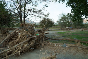 Typhoon damage in Ueda City