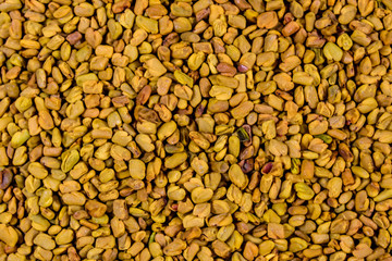Background of the fenugreek seeds (methi dana, helba or shambala)