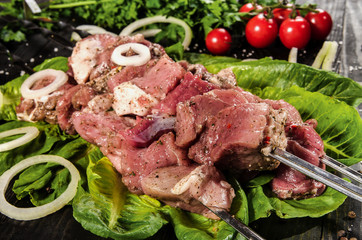 Raw meat shashlik with lettuce, onion and herbs