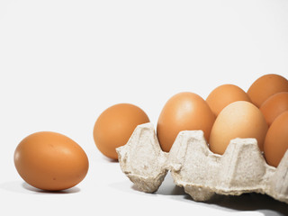 chicken eggs in the carton on white background