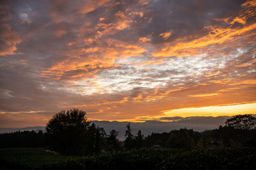 Fototapeta premium 秋