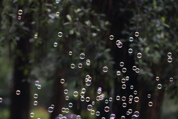 Bubbles in the Air