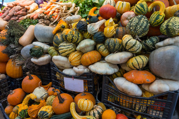 Autumn Color Pumpkins im Whole Foods Market.  Raw vegetables and fruits background. Healthy organic food concept