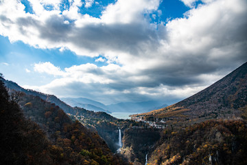 Fototapeta premium 秋