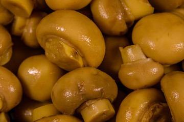 Texture of the canned mushrooms for the background